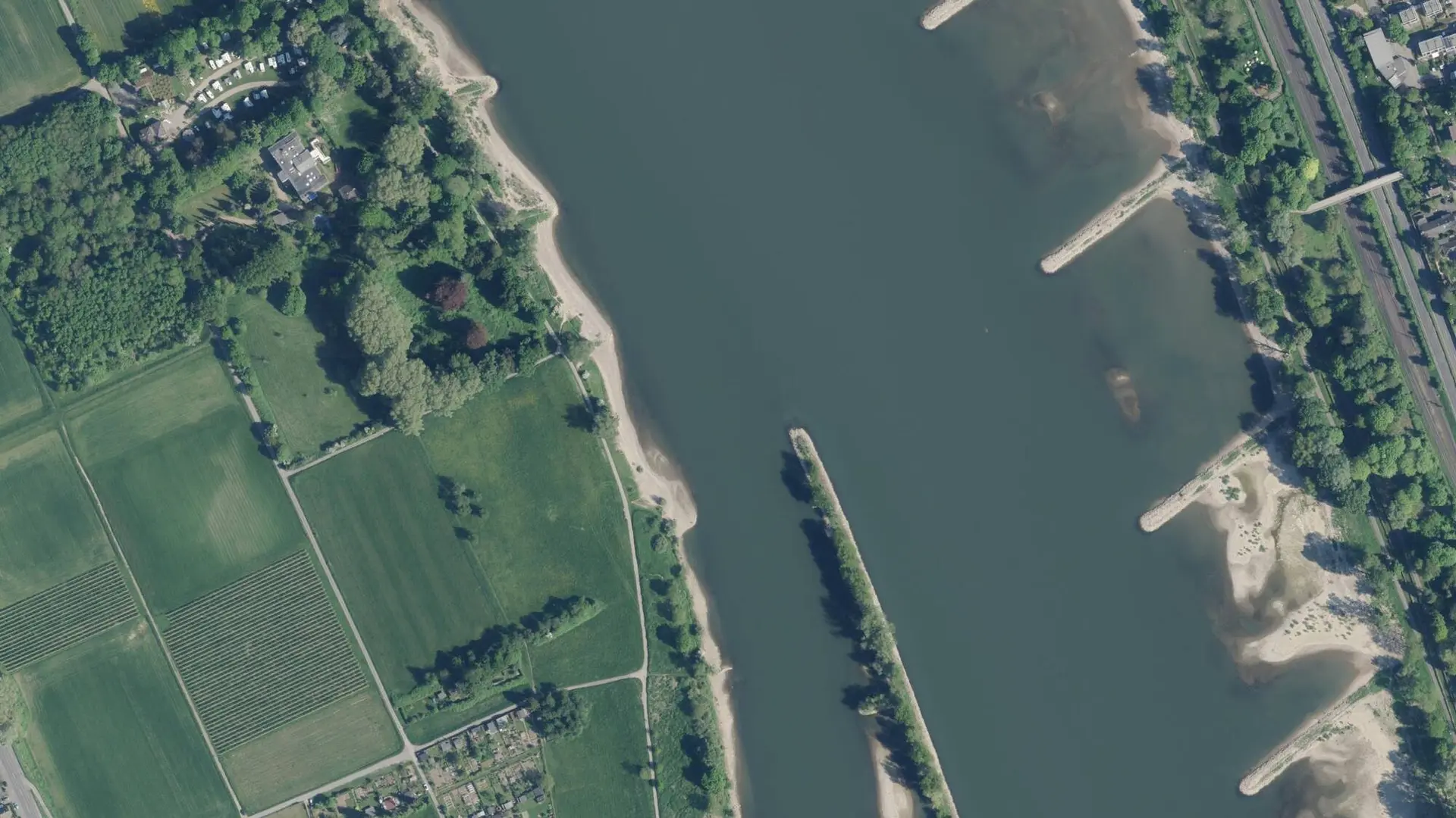 Real-time image and sensor data